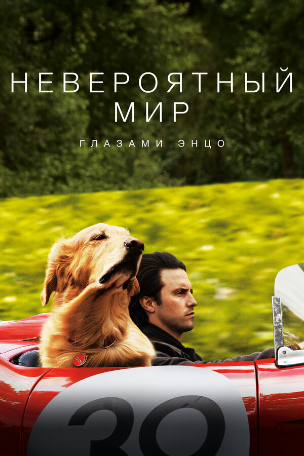  Невероятный мир глазами Энцо смотреть онлайн (2019) 